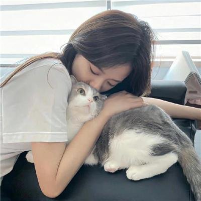狗也爱钻石